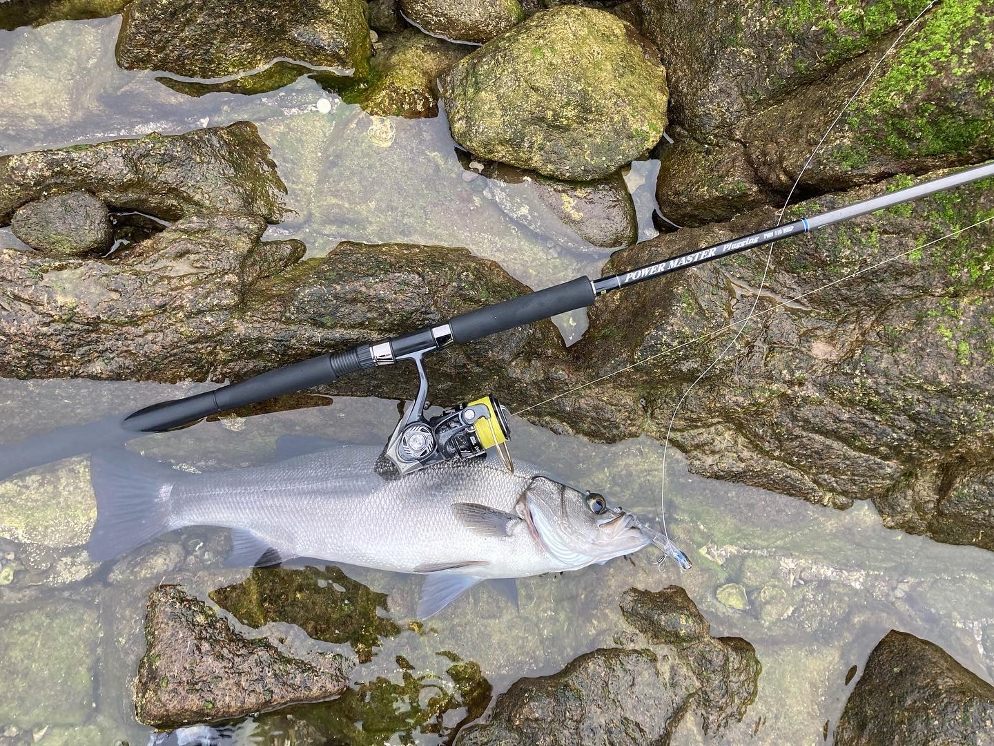 0ee559ac-4720-41c8-8816-